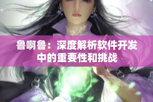 魯啊魯：深度解析軟件開發中的重要性和挑戰