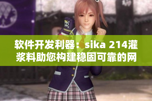 軟件開發(fā)利器：sika 214灌漿料助您構(gòu)建穩(wěn)固可靠的網(wǎng)絡(luò)基礎(chǔ)