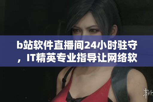b站軟件直播間24小時(shí)駐守，IT精英專業(yè)指導(dǎo)讓網(wǎng)絡(luò)軟件更進(jìn)一步！