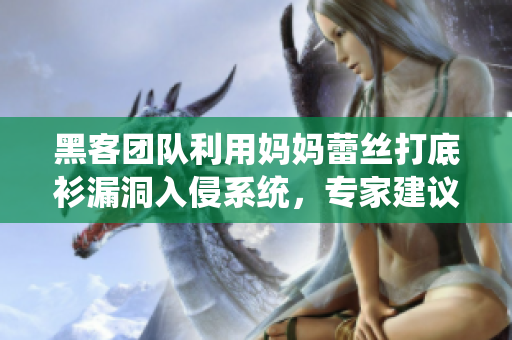 黑客團隊利用媽媽蕾絲打底衫漏洞入侵系統，專家建議加強軟件安全措施