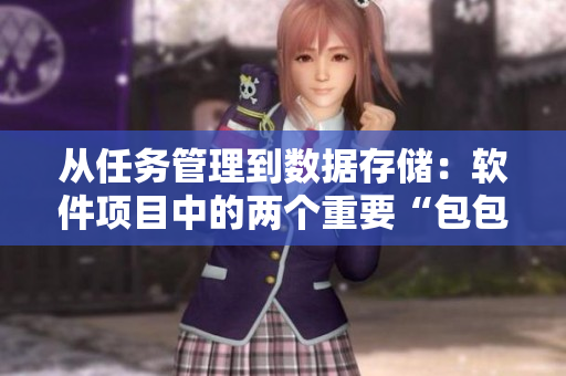 從任務管理到數據存儲：軟件項目中的兩個重要“包包”