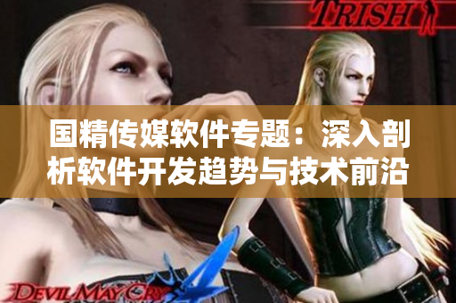 國精傳媒軟件專題：深入剖析軟件開發(fā)趨勢與技術(shù)前沿
