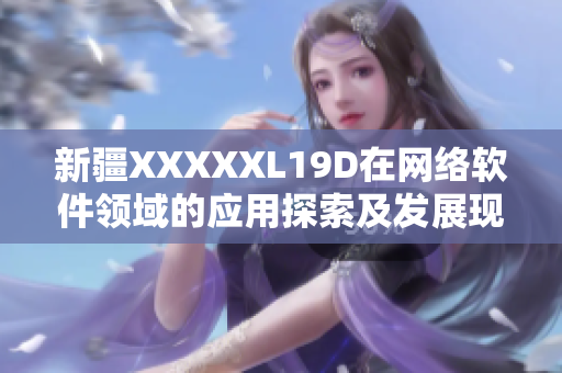 新疆XXXXXL19D在網絡軟件領域的應用探索及發展現狀詳析