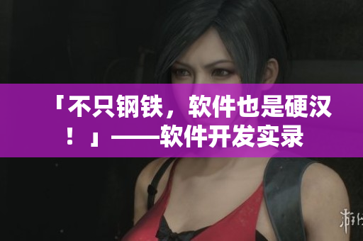「不只鋼鐵，軟件也是硬漢！」——軟件開發實錄