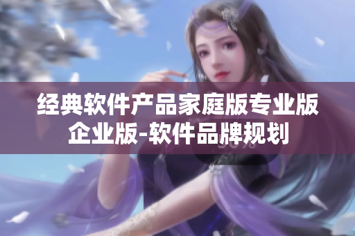經典軟件產品家庭版專業版企業版-軟件品牌規劃