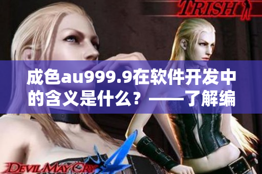 成色au999.9在軟件開發中的含義是什么？——了解編程中的質量評估