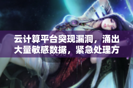 云計算平臺突現漏洞，涌出大量敏感數據，緊急處理方案揭秘