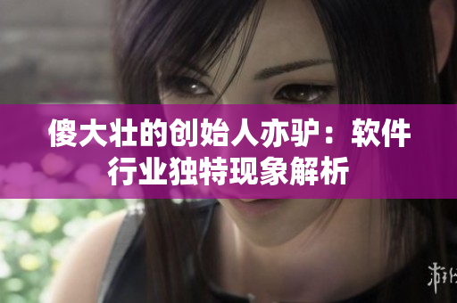 傻大壯的創始人亦驢：軟件行業獨特現象解析