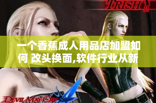 一個香蕉成人用品店加盟如何 改頭換面,軟件行業(yè)從新出發(fā)!