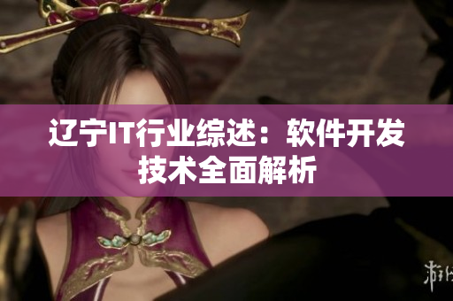遼寧IT行業綜述：軟件開發技術全面解析