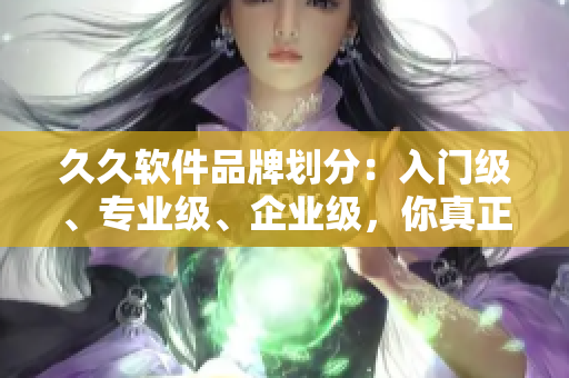 久久軟件品牌劃分：入門級、專業級、企業級，你真正需要的在哪一線？
