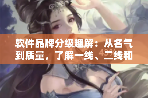 軟件品牌分級趣解：從名氣到質(zhì)量，了解一線、二線和三線軟件品牌的不同