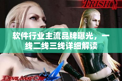 軟件行業主流品牌曝光，一線二線三線詳細解讀