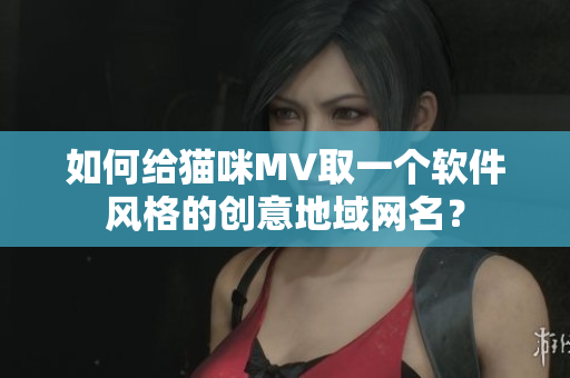 如何給貓咪MV取一個軟件風格的創意地域網名？