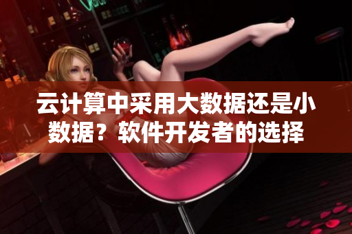 云計算中采用大數(shù)據(jù)還是小數(shù)據(jù)？軟件開發(fā)者的選擇