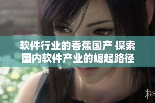 軟件行業(yè)的香蕉國產 探索國內軟件產業(yè)的崛起路徑