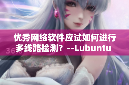 優秀網絡軟件應試如何進行多線路檢測？--Lubuntu 3重檢測算法