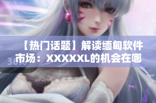 【熱門話題】解讀緬甸軟件市場：XXXXXL的機會在哪里？