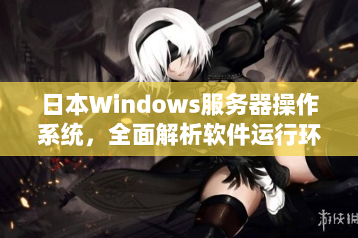 日本W(wǎng)indows服務(wù)器操作系統(tǒng)，全面解析軟件運(yùn)行環(huán)境