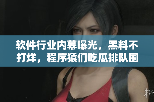 軟件行業內幕曝光，黑料不打烊，程序猿們吃瓜排隊圍觀
