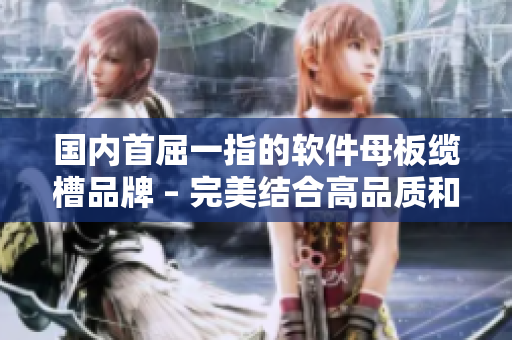 國內首屈一指的軟件母板纜槽品牌 – 完美結合高品質和創新技術