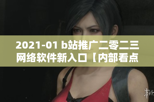 2021-01 b站推廣二零二三網絡軟件新入口【內部看點】
