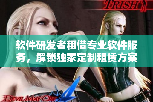 軟件研發者租借專業軟件服務，解鎖獨家定制租賃方案