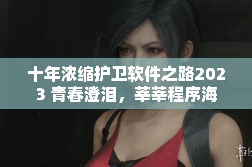 十年濃縮護(hù)衛(wèi)軟件之路2023 青春澄淚，莘莘程序海