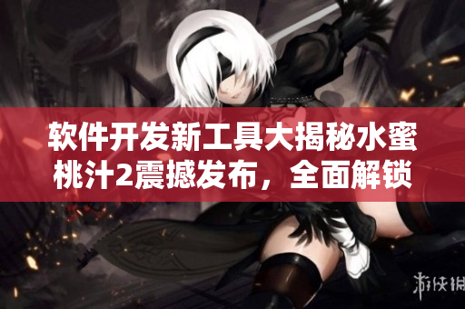 軟件開發新工具大揭秘水蜜桃汁2震撼發布，全面解鎖程序設計新境界