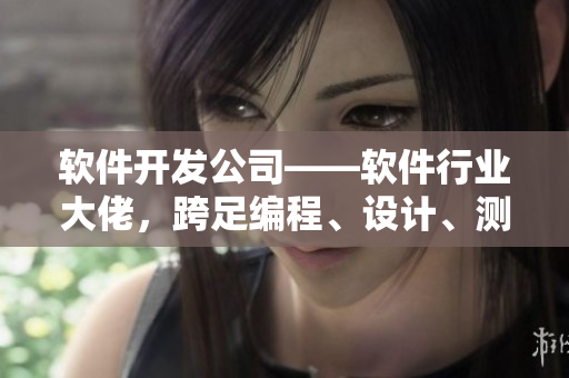 軟件開發公司——軟件行業大佬，跨足編程、設計、測試多領域