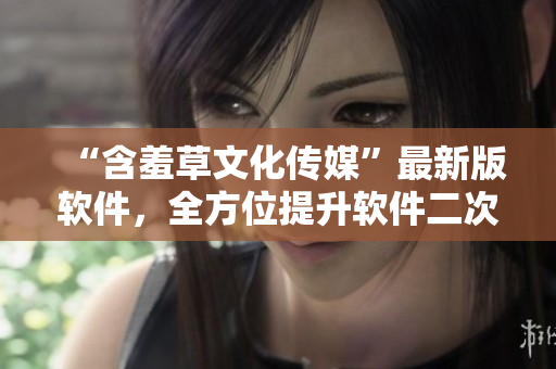 “含羞草文化傳媒”最新版軟件，全方位提升軟件二次開發體驗