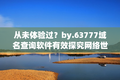 從未體驗過？by.63777域名查詢軟件有效探究網絡世界！