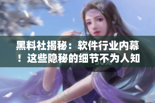 黑料社揭秘：軟件行業(yè)內幕！這些隱秘的細節(jié)不為人知！