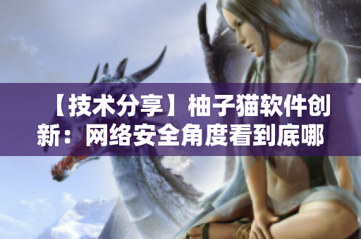 【技術分享】柚子貓軟件創新：網絡安全角度看到底哪里不一樣？