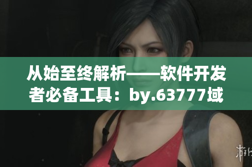 從始至終解析——軟件開發者必備工具：by.63777域名查詢