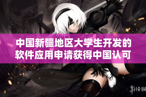 中國新疆地區大學生開發的軟件應用申請獲得中國認可
