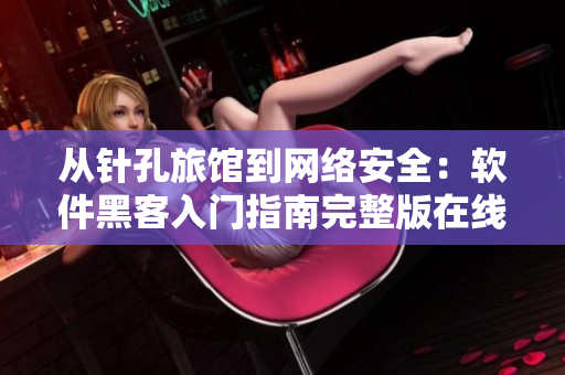 從針孔旅館到網絡安全：軟件黑客入門指南完整版在線觀看