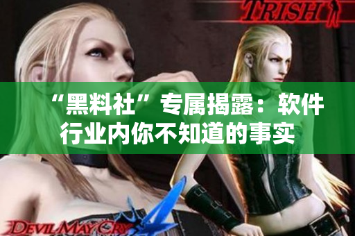 “黑料社”專屬揭露：軟件行業內你不知道的事實