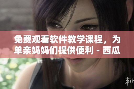 免費觀看軟件教學課程，為單親媽媽們提供便利 - 西瓜視頻最新服務