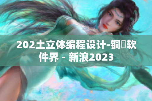 202土立體編程設計-銅質軟件界 - 新浪2023