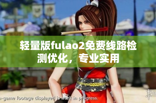 輕量版fulao2免費線路檢測優化，專業實用