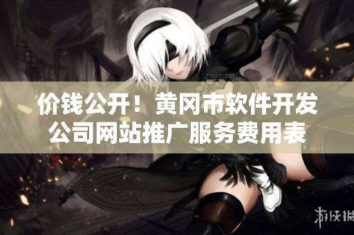 價錢公開！黃岡市軟件開發公司網站推廣服務費用表