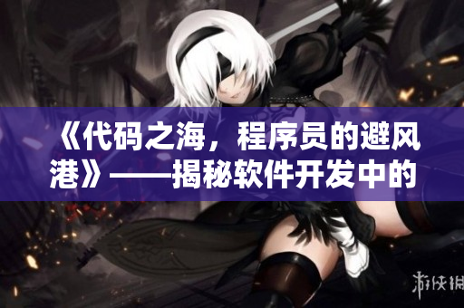 《代碼之海，程序員的避風港》——揭秘軟件開發(fā)中的困境與解決方案