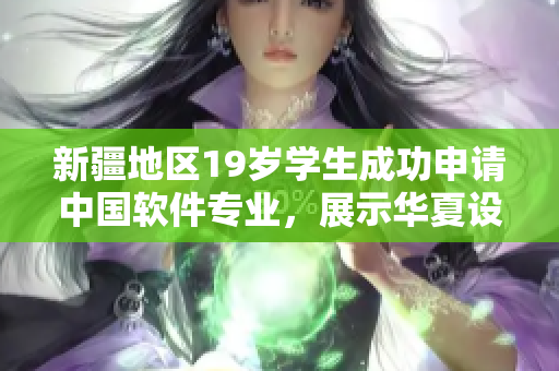 新疆地區(qū)19歲學(xué)生成功申請(qǐng)中國軟件專業(yè)，展示華夏設(shè)計(jì)風(fēng)采