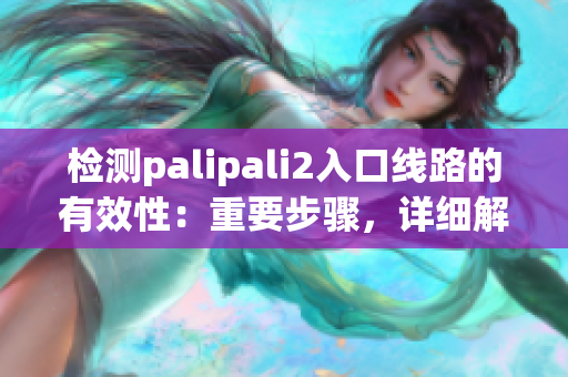 檢測(cè)palipali2入口線路的有效性：重要步驟，詳細(xì)解析