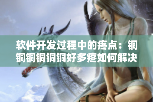 軟件開發過程中的疼點：銅銅銅銅銅銅好多疼如何解決？