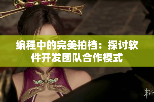 編程中的完美拍檔：探討軟件開發團隊合作模式