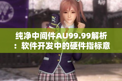 純凈中間件AU99.99解析：軟件開發(fā)中的硬件指標意義