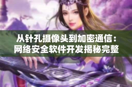 從針孔攝像頭到加密通信：網(wǎng)絡(luò)安全軟件開發(fā)揭秘完整版在線觀看