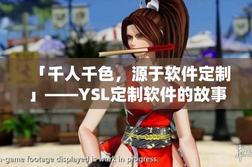 「千人千色，源于軟件定制」——YSL定制軟件的故事